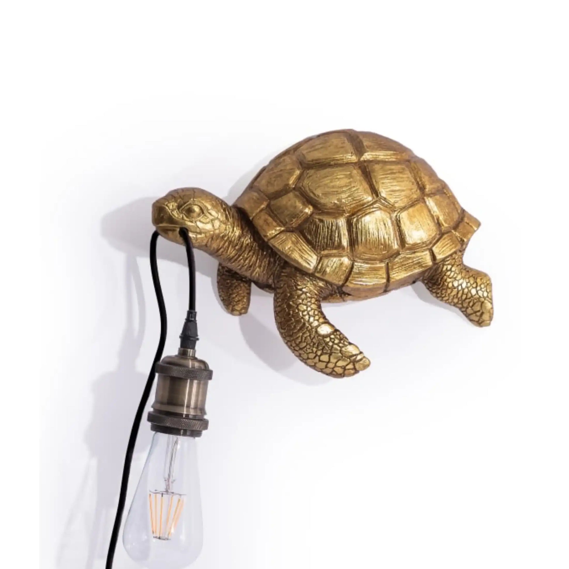 Gold turtle-shaped wall lamp with a bulb on a white background