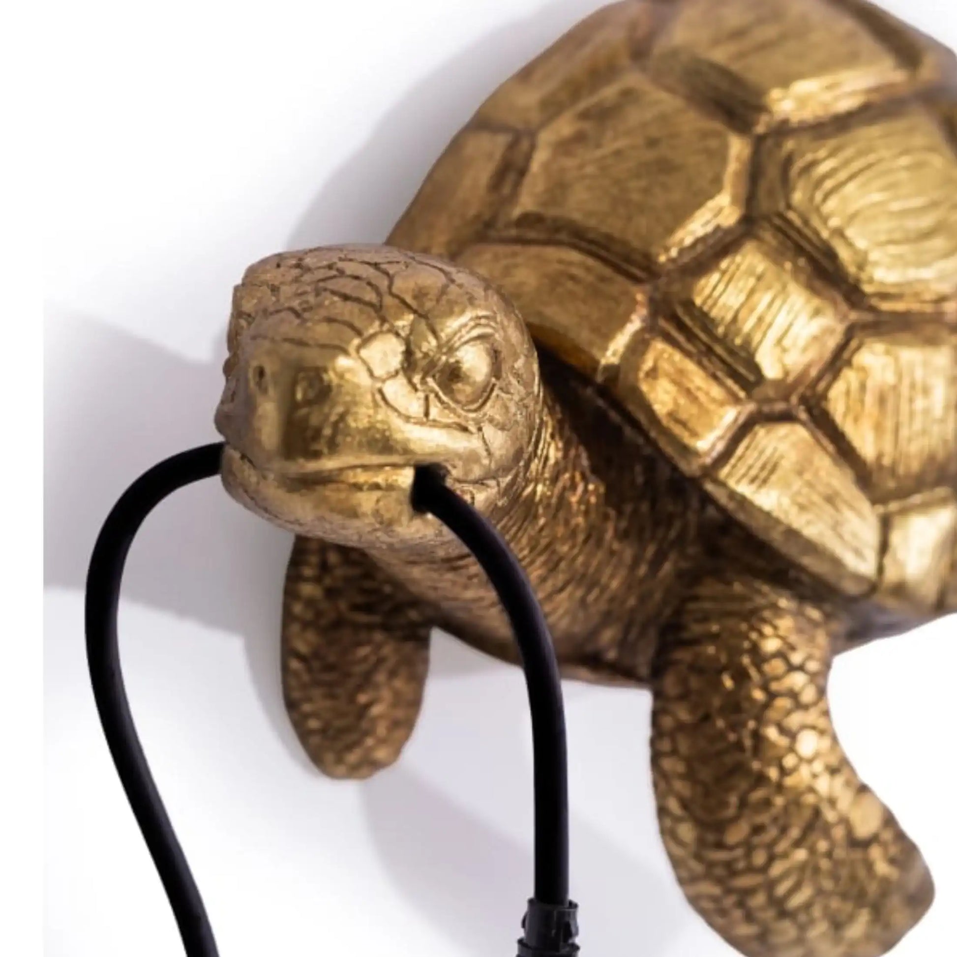 Bronze turtle sculpture with a black cord on a white background