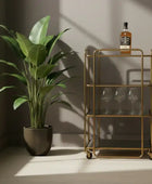 Gold bar cart with a bottle and glasses next to a potted plant in a sunlit room.