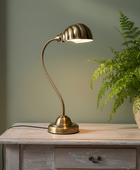 A brass gooseneck table lamp with a ribbed dome shade sits on a distressed light wood console table next to a potted green fern against a sage green wall.