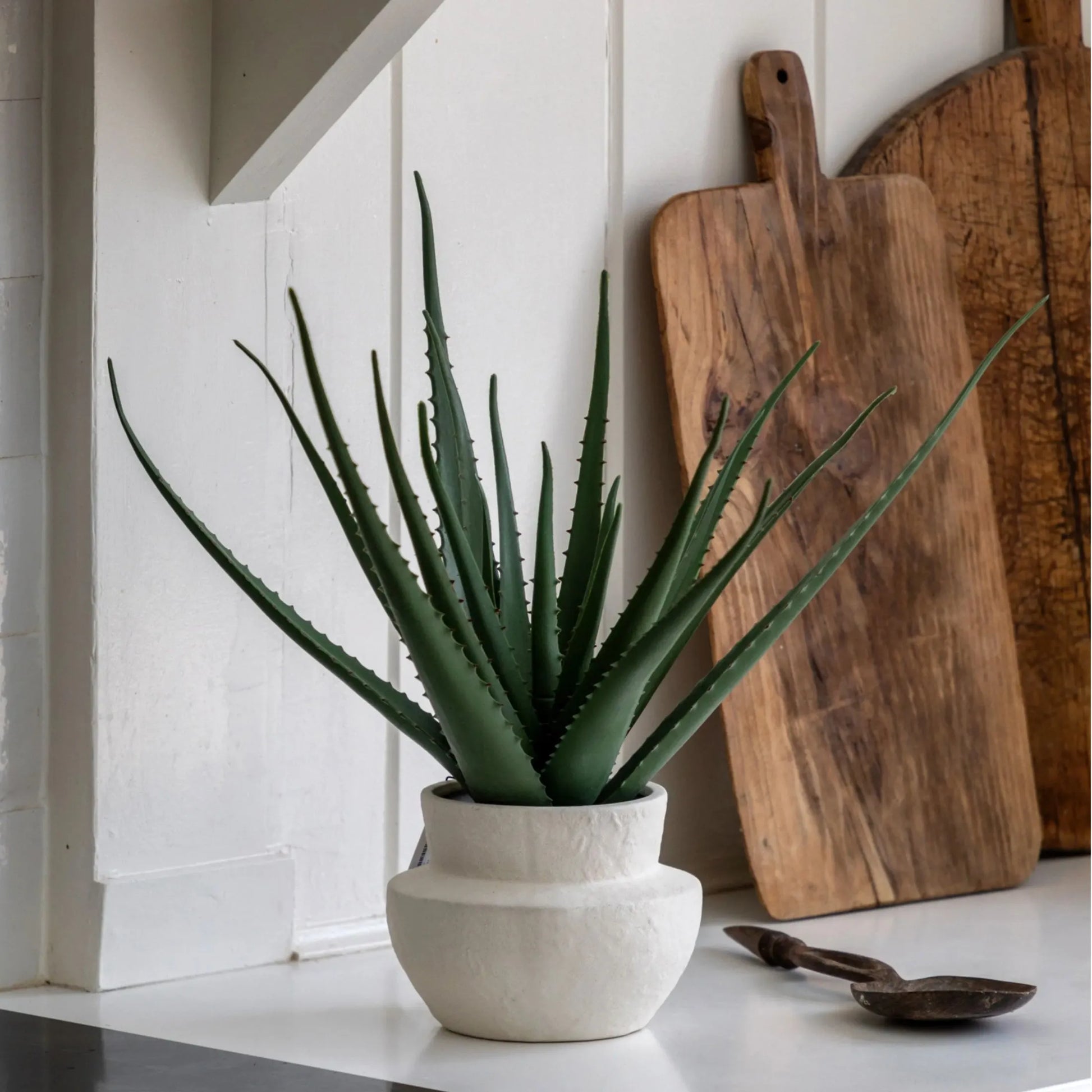 Artificial Aloe Vera in White Ceramic Pot