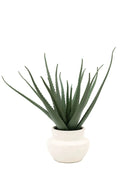 Artificial Aloe Vera in White Ceramic Pot 3