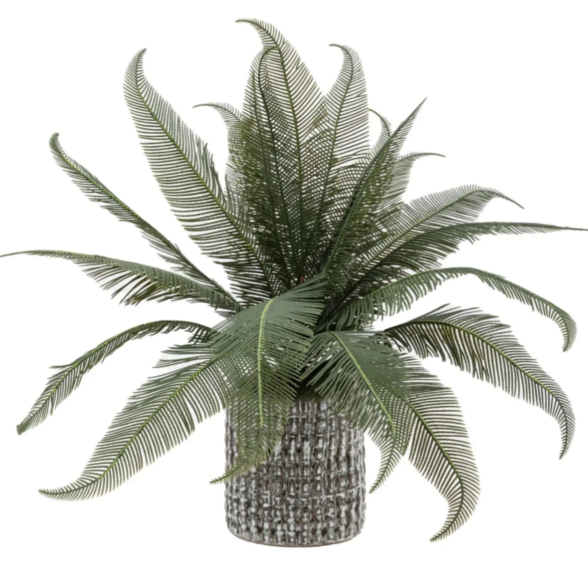 Artificial Green Feather Fern Ceramic Pot 4