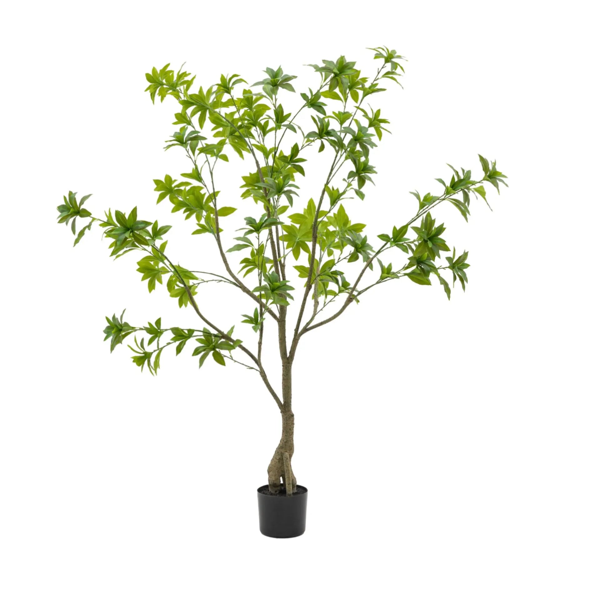 Artificial Green Japanese Andromeda Tree at the Farthing  1