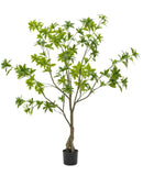 Artificial Green Japanese Andromeda Tree at the Farthing  1