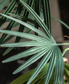 Artificial Green Palm Tree