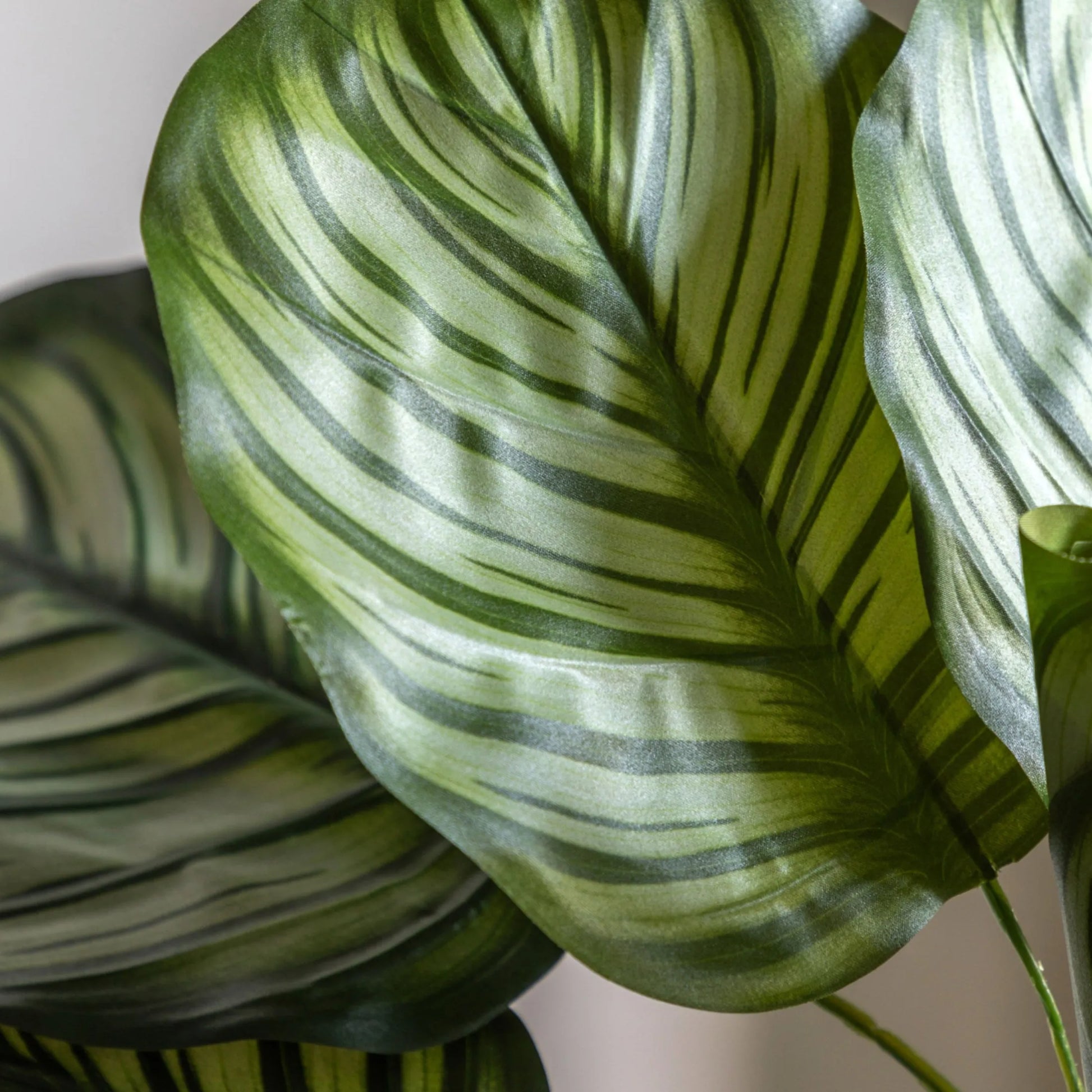 Artificial Green Potted Calathea at the Farthing  5