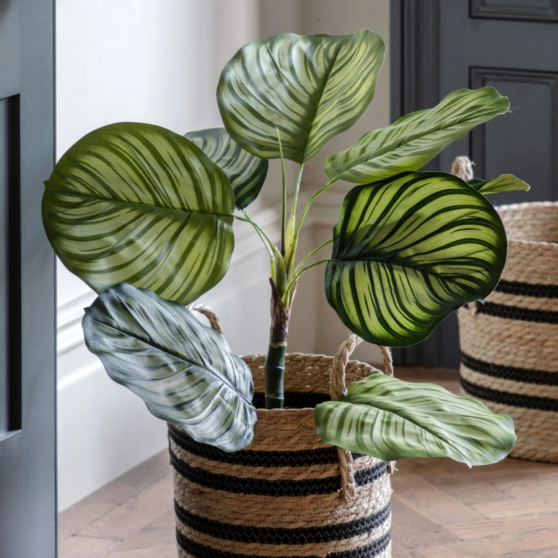 Artificial Green Potted Calathea at the Farthing 