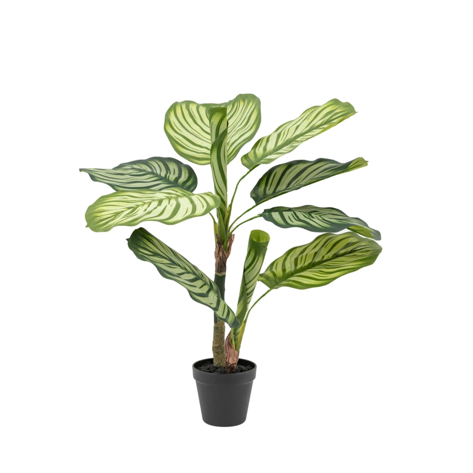 Artificial Green Potted Calathea at the Farthing  2