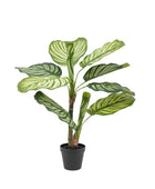 Artificial Green Potted Calathea at the Farthing  2