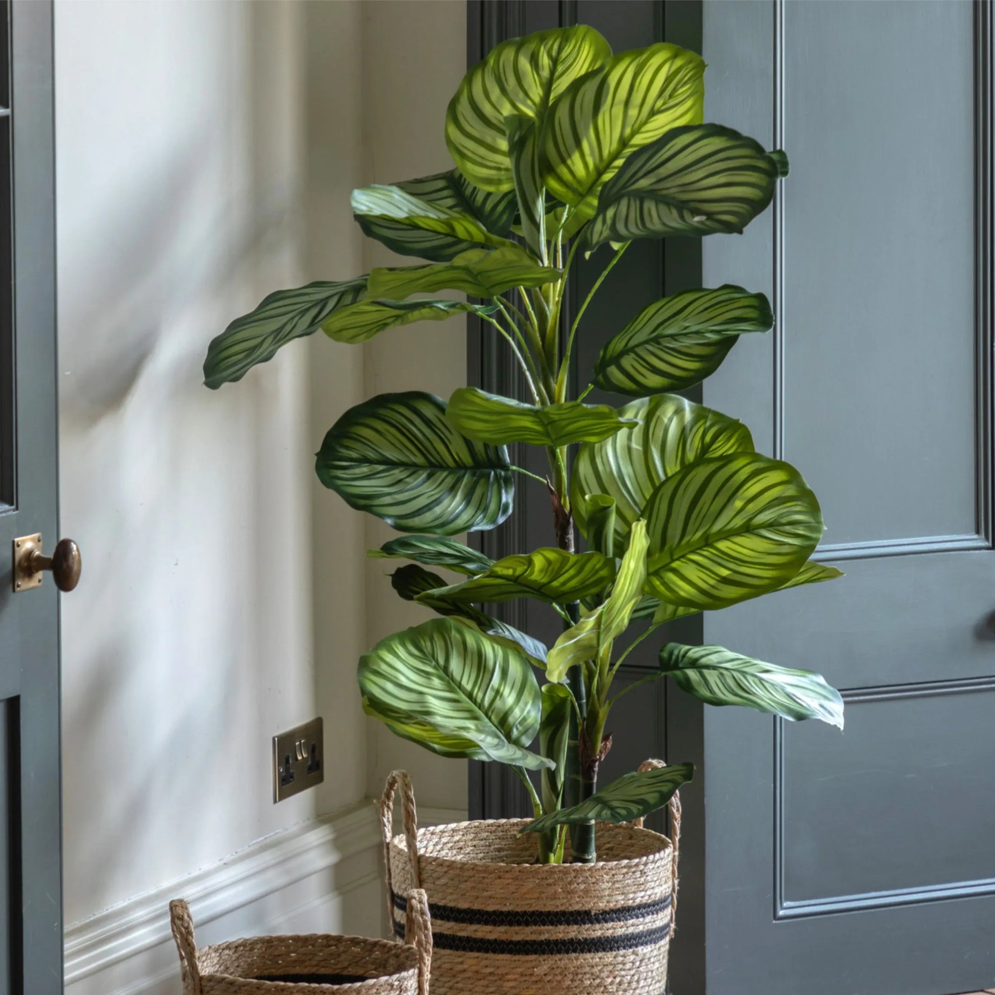 Artificial Green Potted Calathea Tree at the Farthing  5