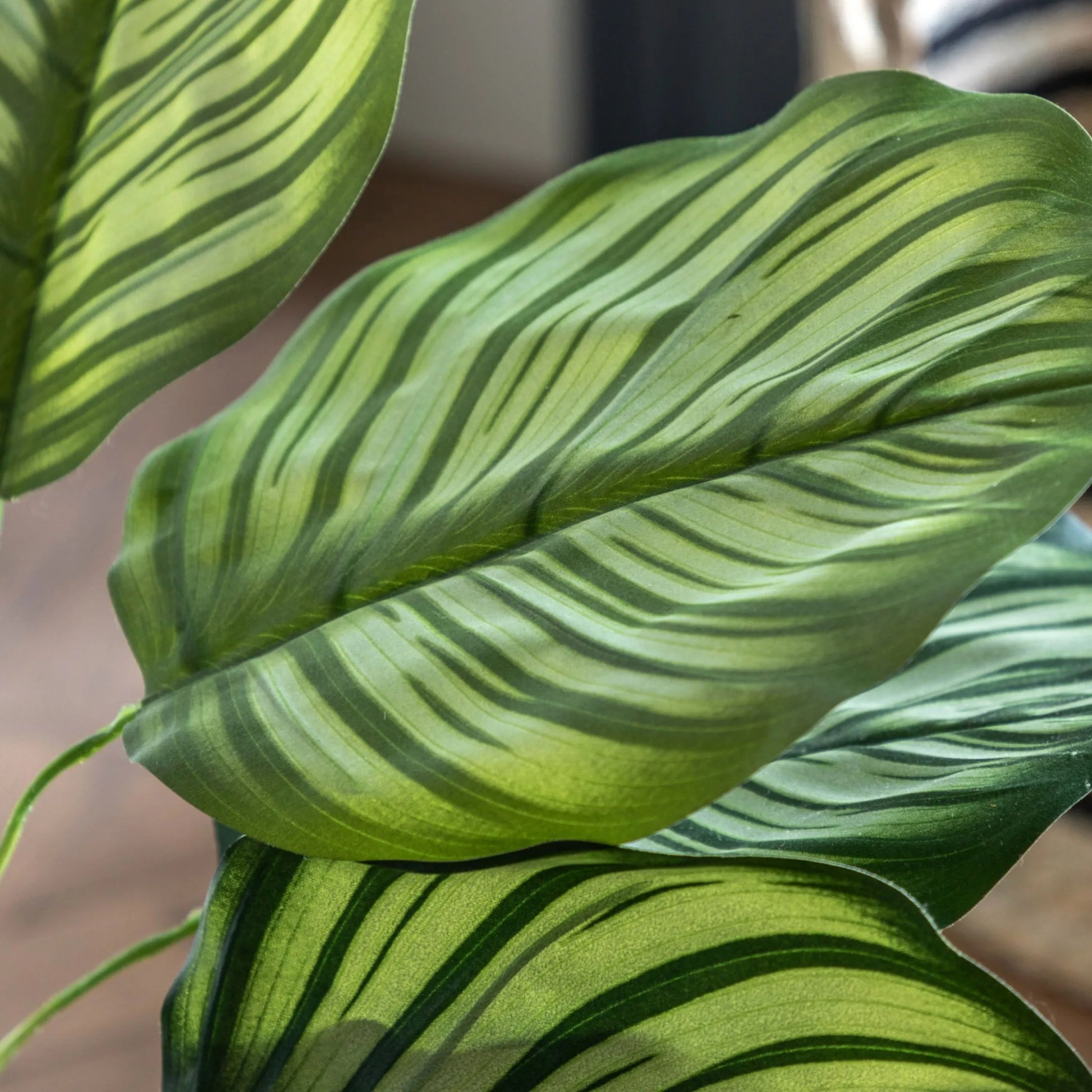 Artificial Green Potted Calathea Tree at the Farthing 