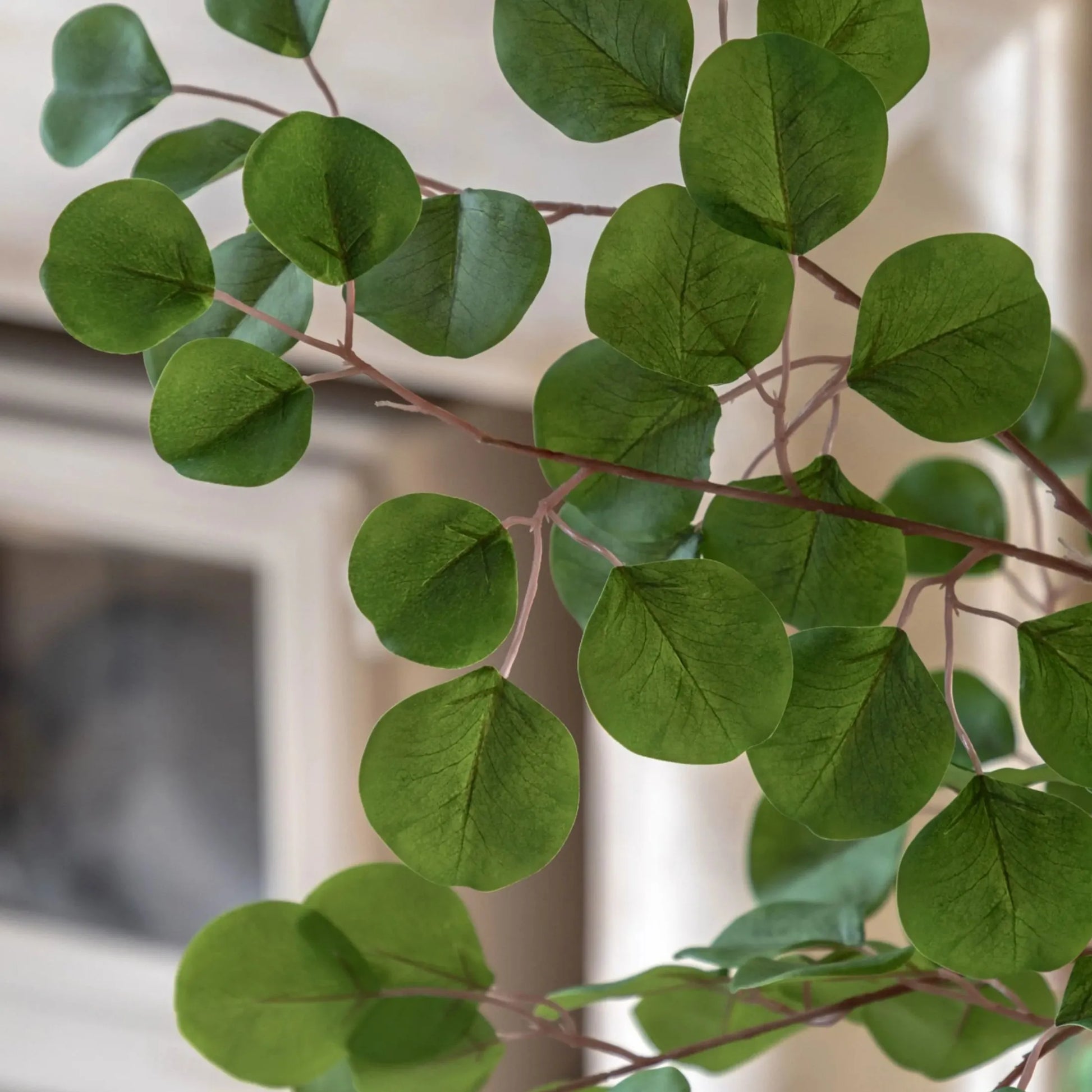 Artificial Green Potted Eucalyptus Tree | Farthing 6