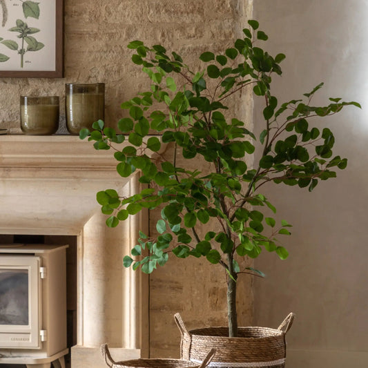 Artificial Green Potted Eucalyptus Tree | Farthing