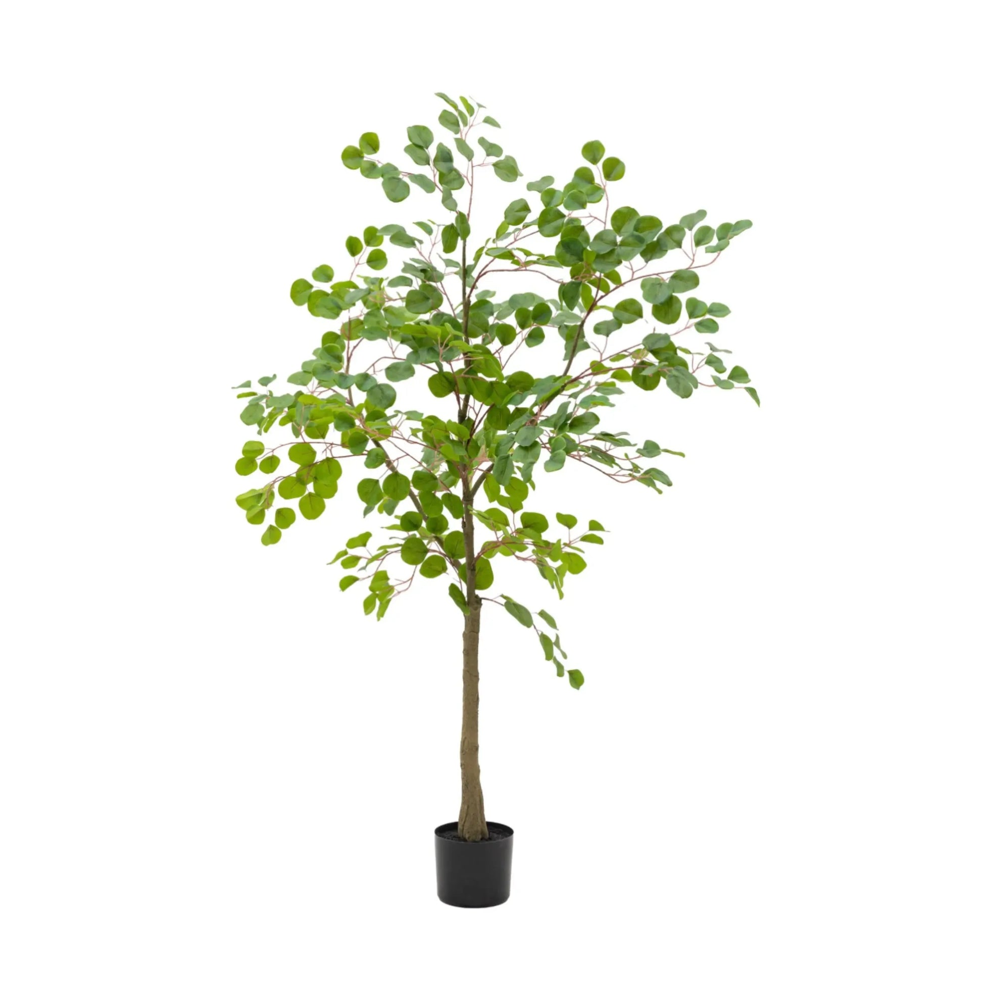 Artificial Green Potted Eucalyptus Tree | Farthing 2