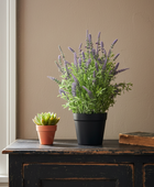 Two potted plants on a wooden surface with a book against a beige wall.
