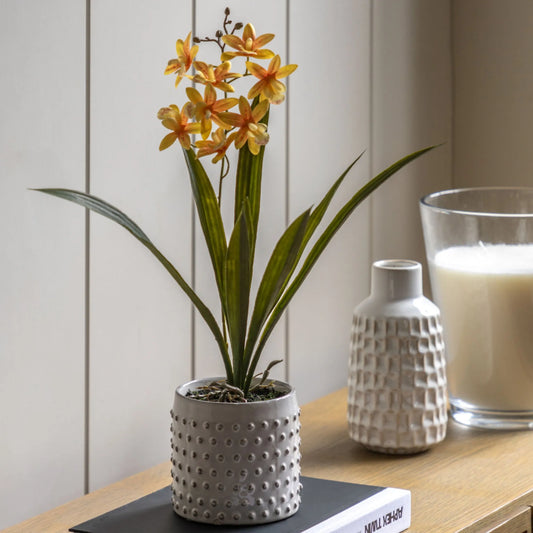 Artificial Orchid in White Ceramic Pot at the Farthing 