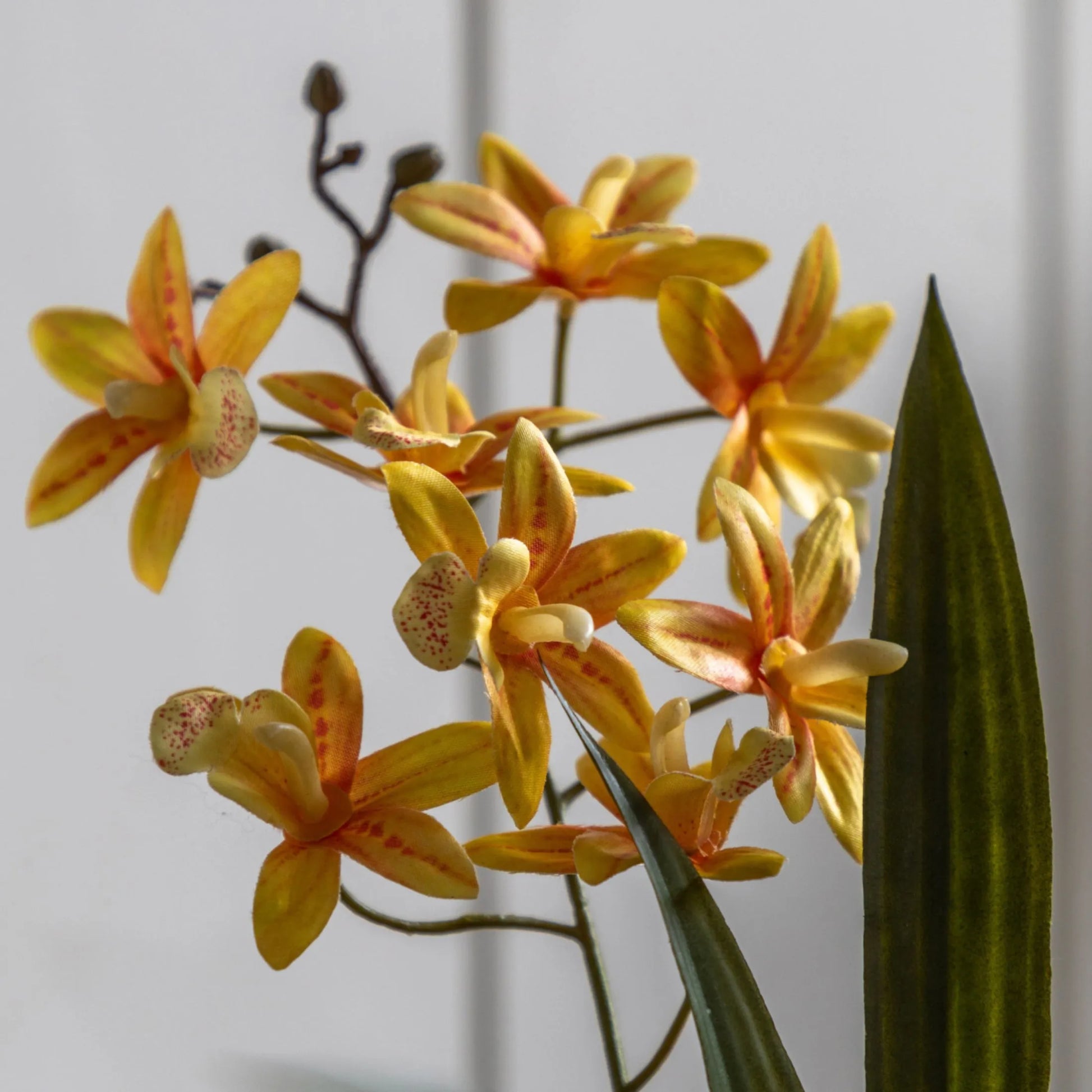 Artificial Orchid in White Ceramic Pot at the Farthing  1