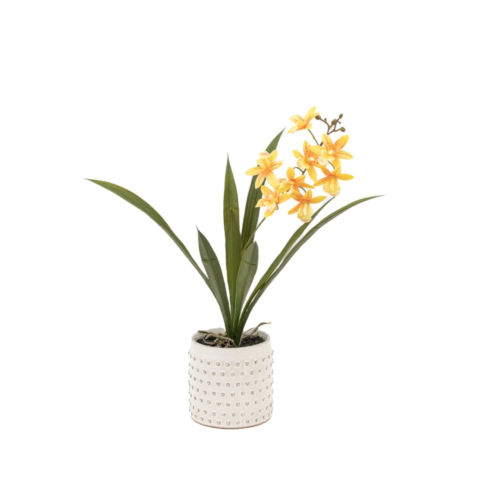 Artificial Orchid in White Ceramic Pot at the Farthing  4