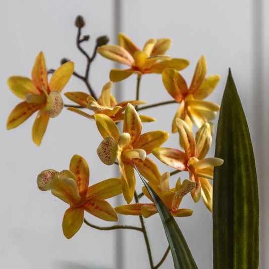 Artificial Orchid in White Ceramic Pot at the Farthing  1