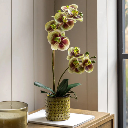 Artificial Orchid in Yellow Ceramic Pot FARTHING  2