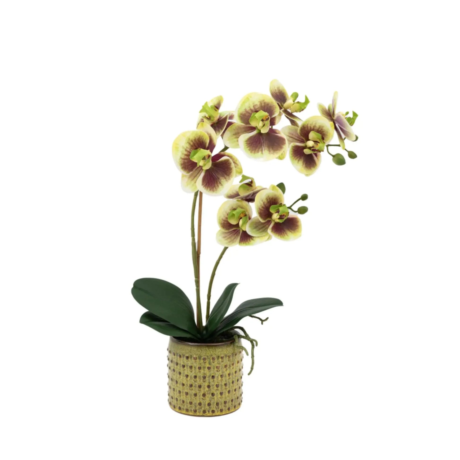 Artificial Orchid in Yellow Ceramic Pot FARTHING  6