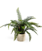 Artificial Potted Fern Plant in Resin Pot 1