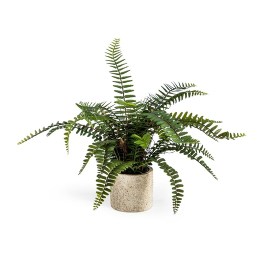 Artificial Potted Fern Plant in Resin Pot 1