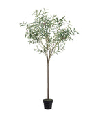 Artificial Potted Olive Tree - The Farthing