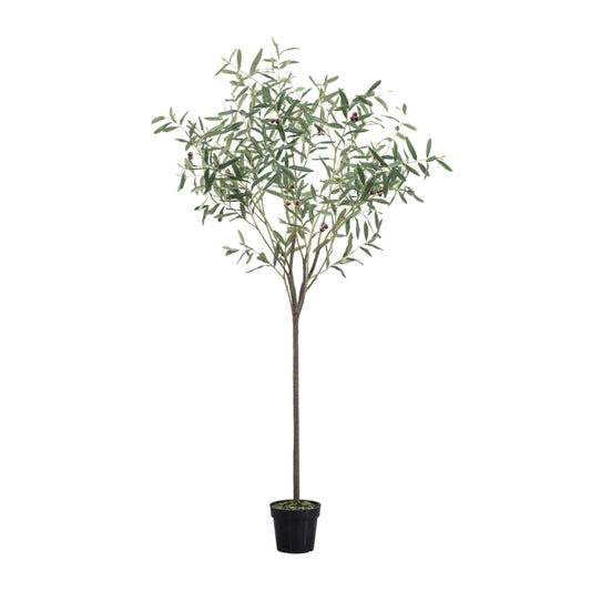 Artificial Potted Olive Tree - The Farthing