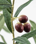 Artificial Potted Olive Tree - The Farthing