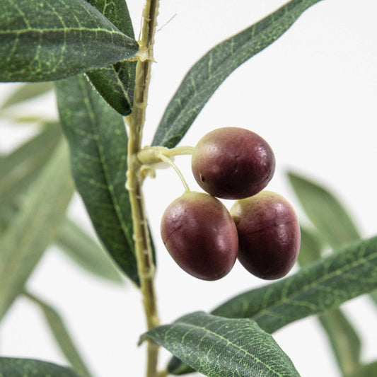 Artificial Potted Olive Tree - The Farthing