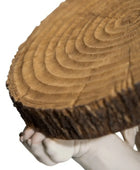 Wooden log held by a white hand on a white background
