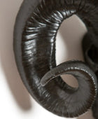 Close-up of a black ram's head sculpture on a white background