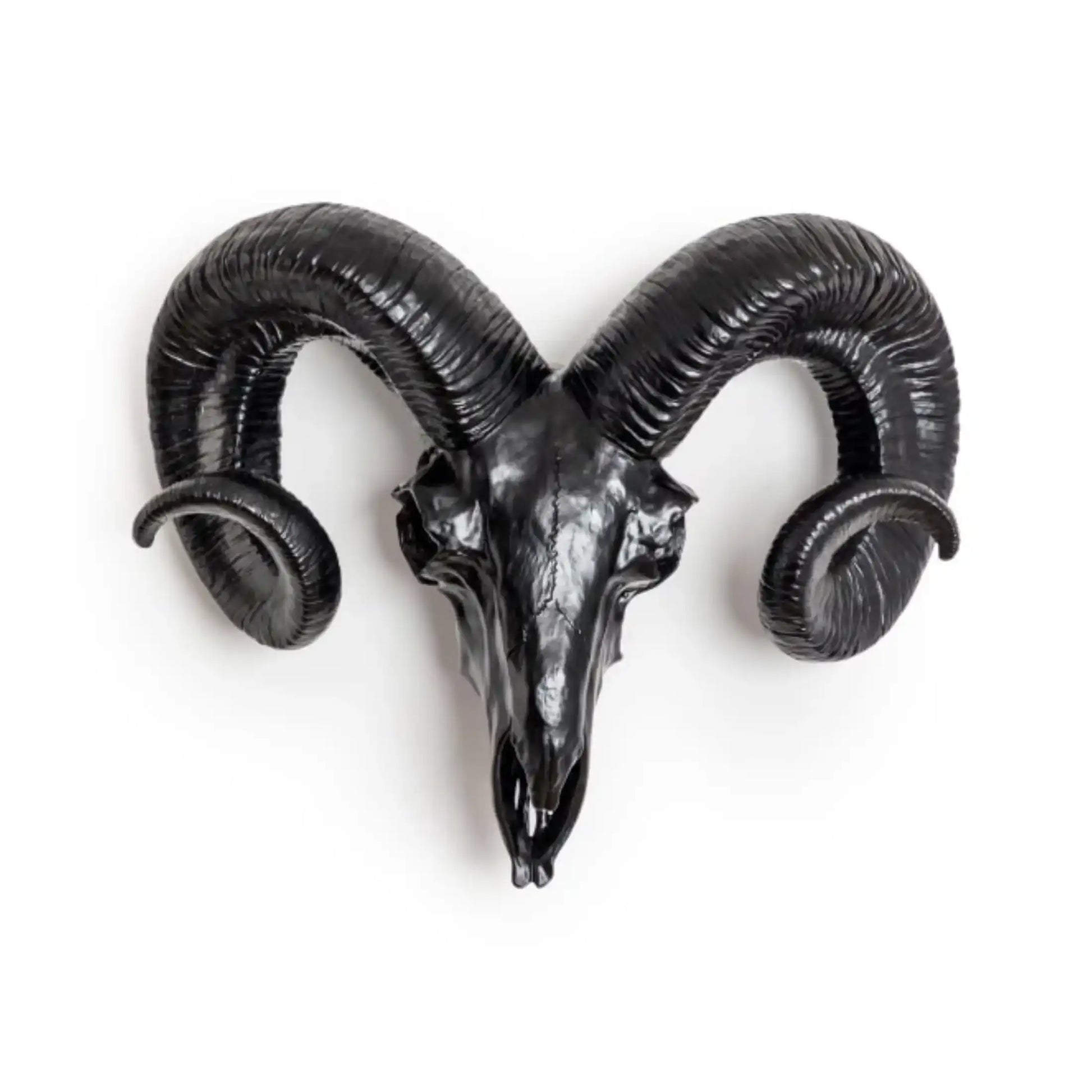 Decorative black ram's head with large curved horns on a white background