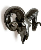 Decorative ram skull with large curved horns on a white background