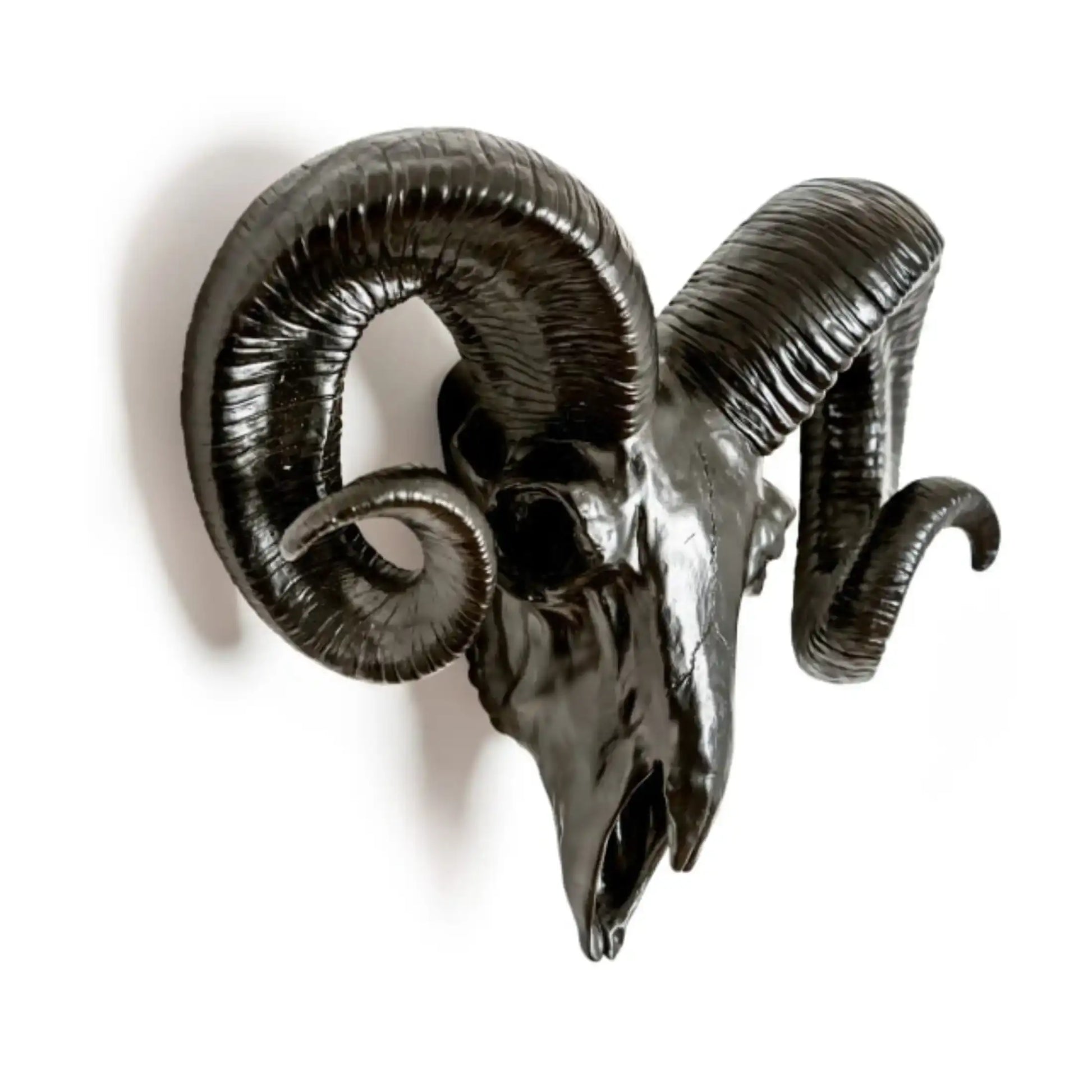 Decorative ram skull with large curved horns on a white background
