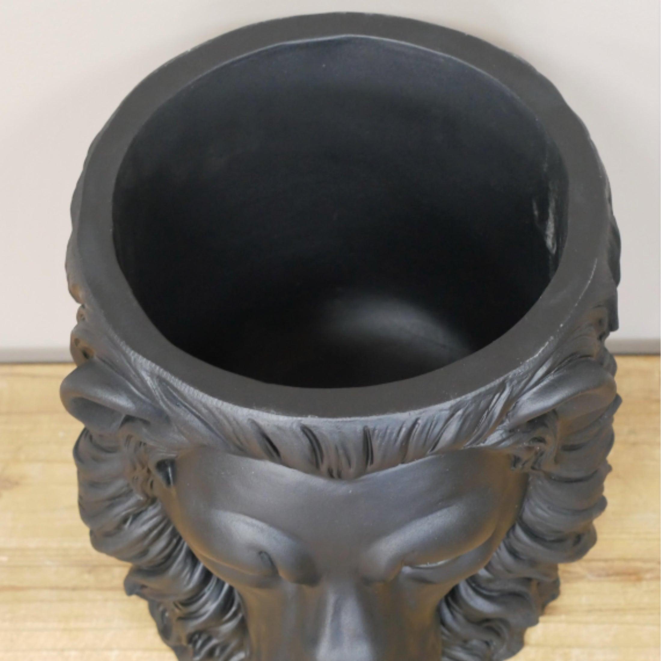 Black Lion Head Plant Pot