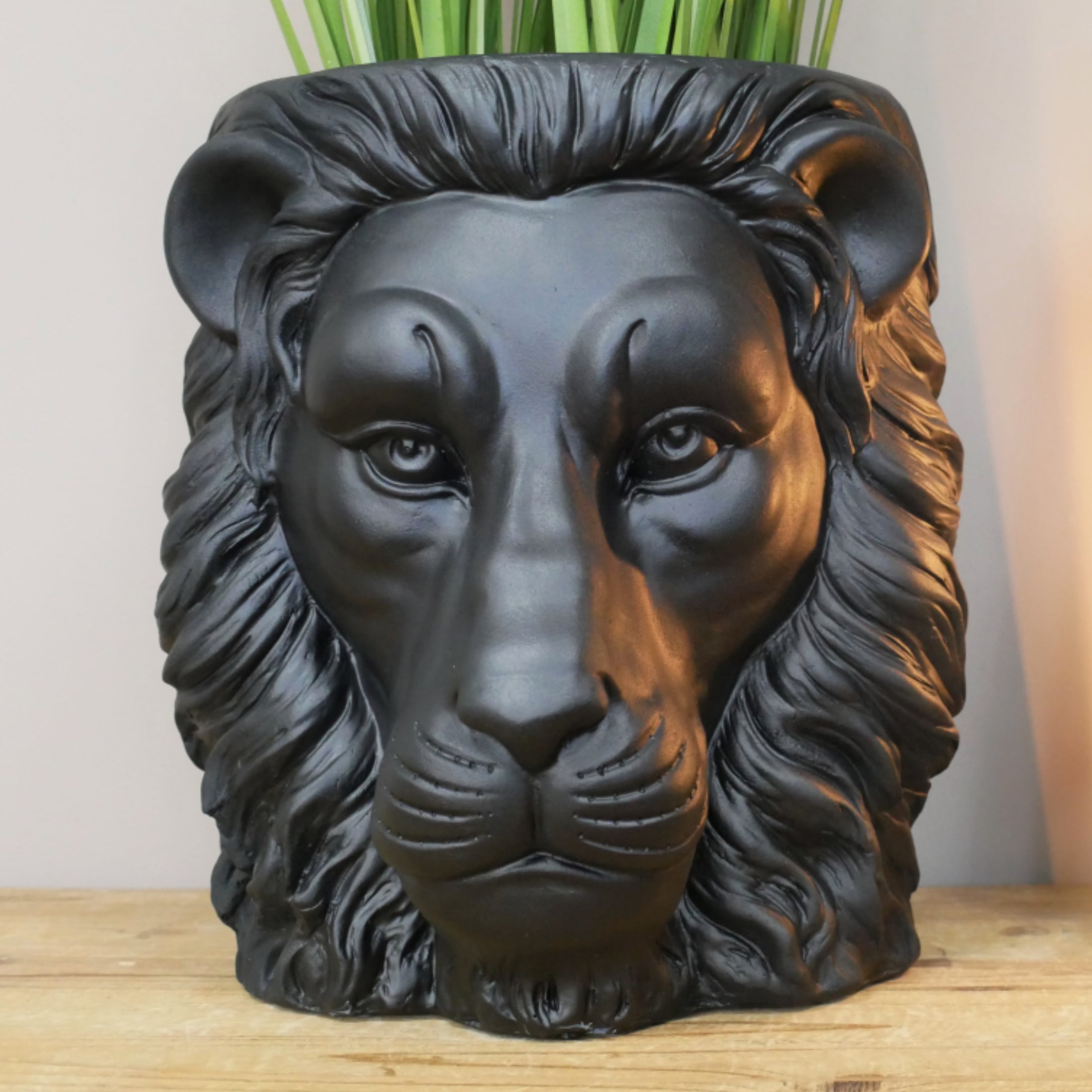 Black Lion Head Plant Pot 1