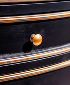 Black drawer with gold accents and a gold knob