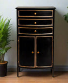 Black cabinet with gold accents on a wooden floor with plants