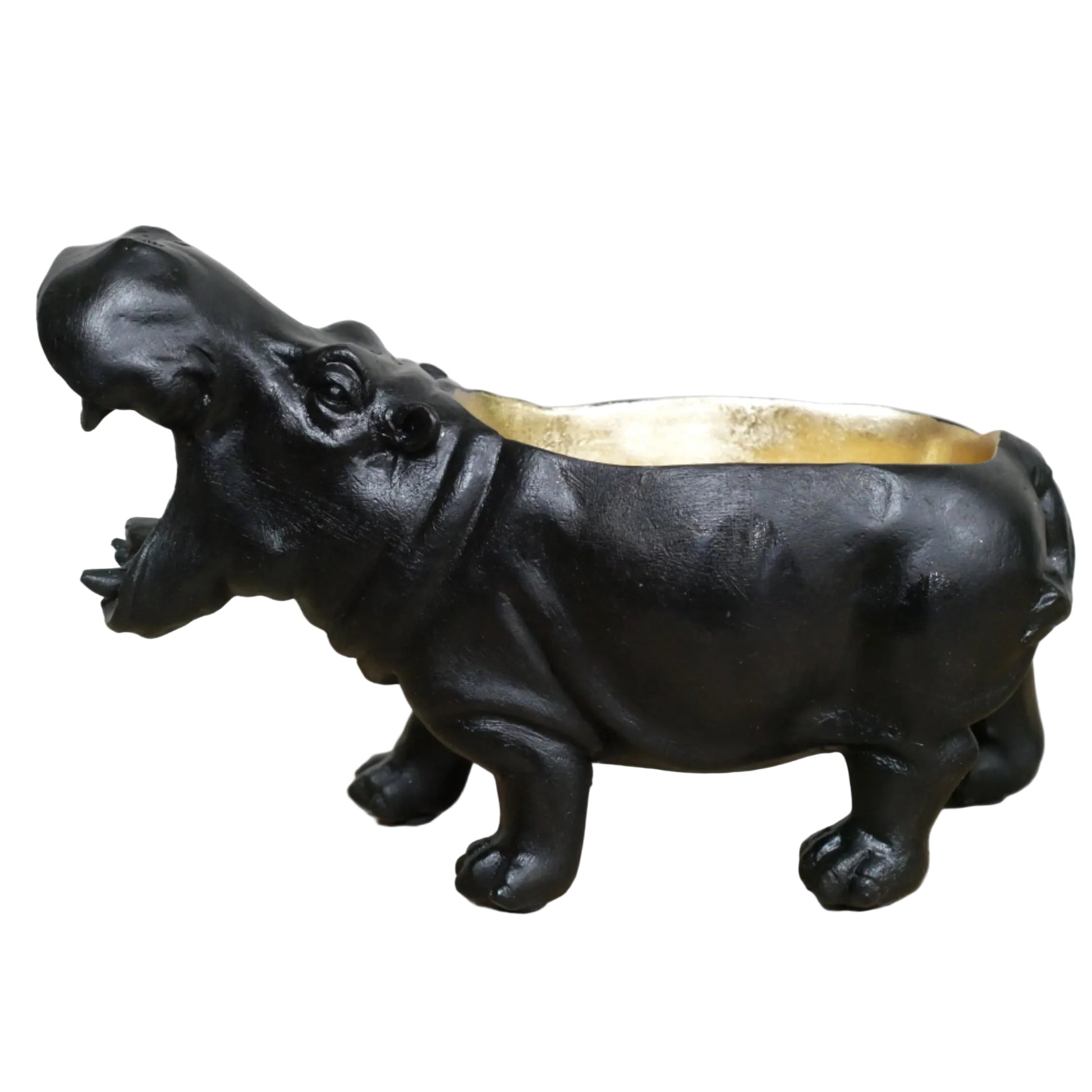 Black hippo-shaped planter with a gold interior on a wooden surface