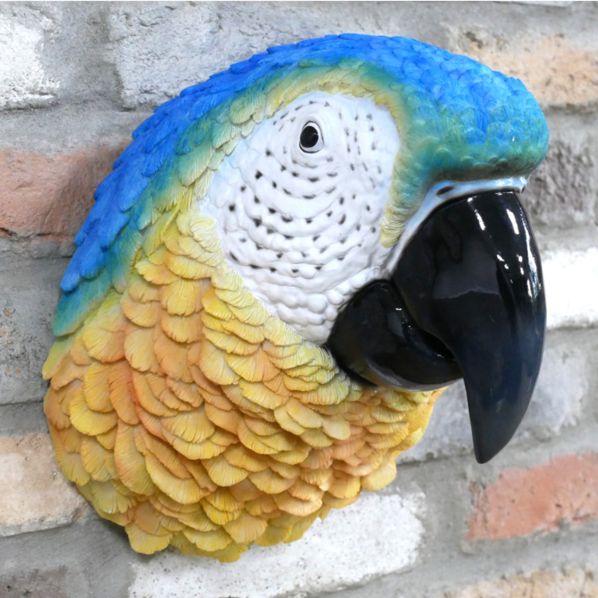 Blue Macaw Parrot Head Wall Decoration