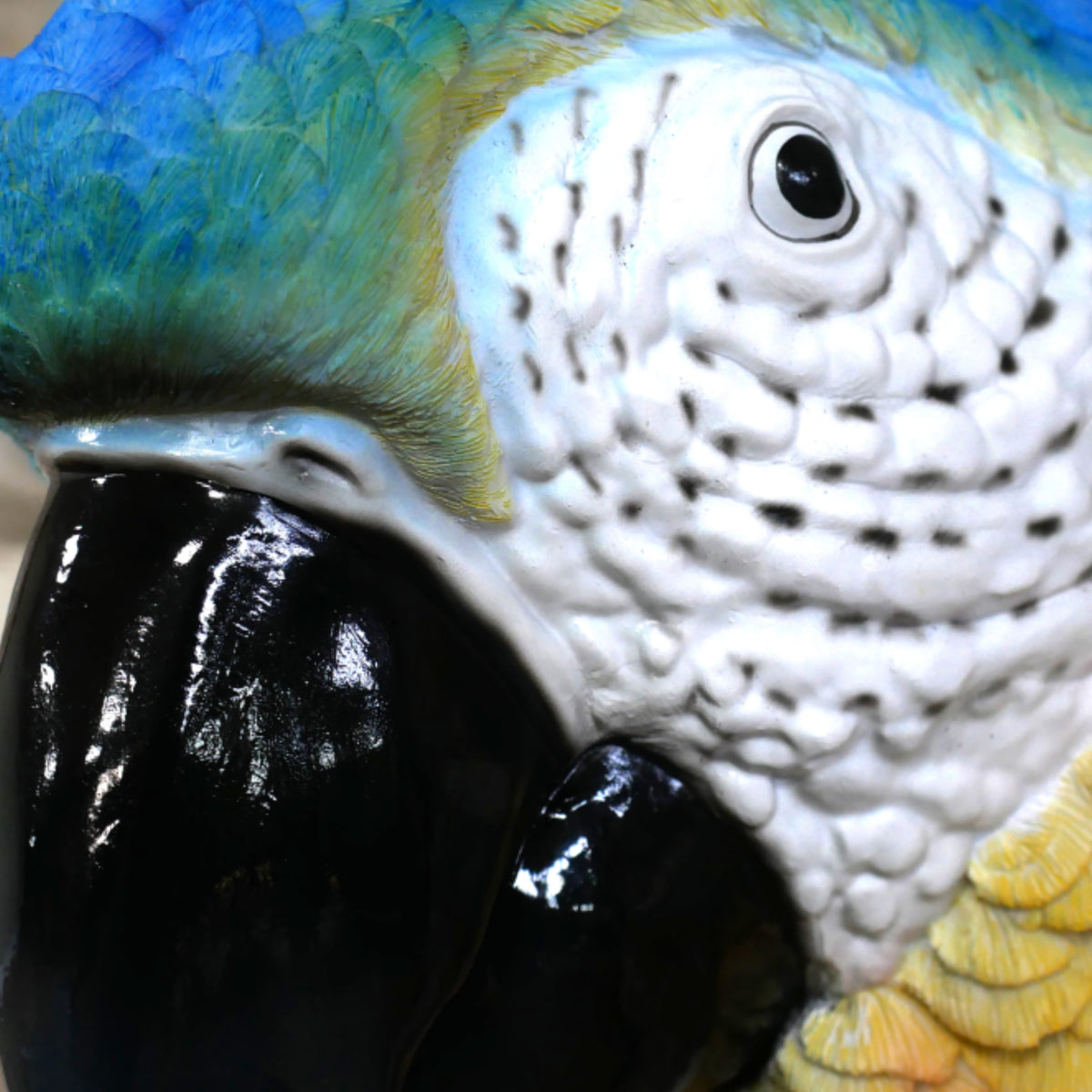 Blue Macaw Parrot Head Wall Decoration