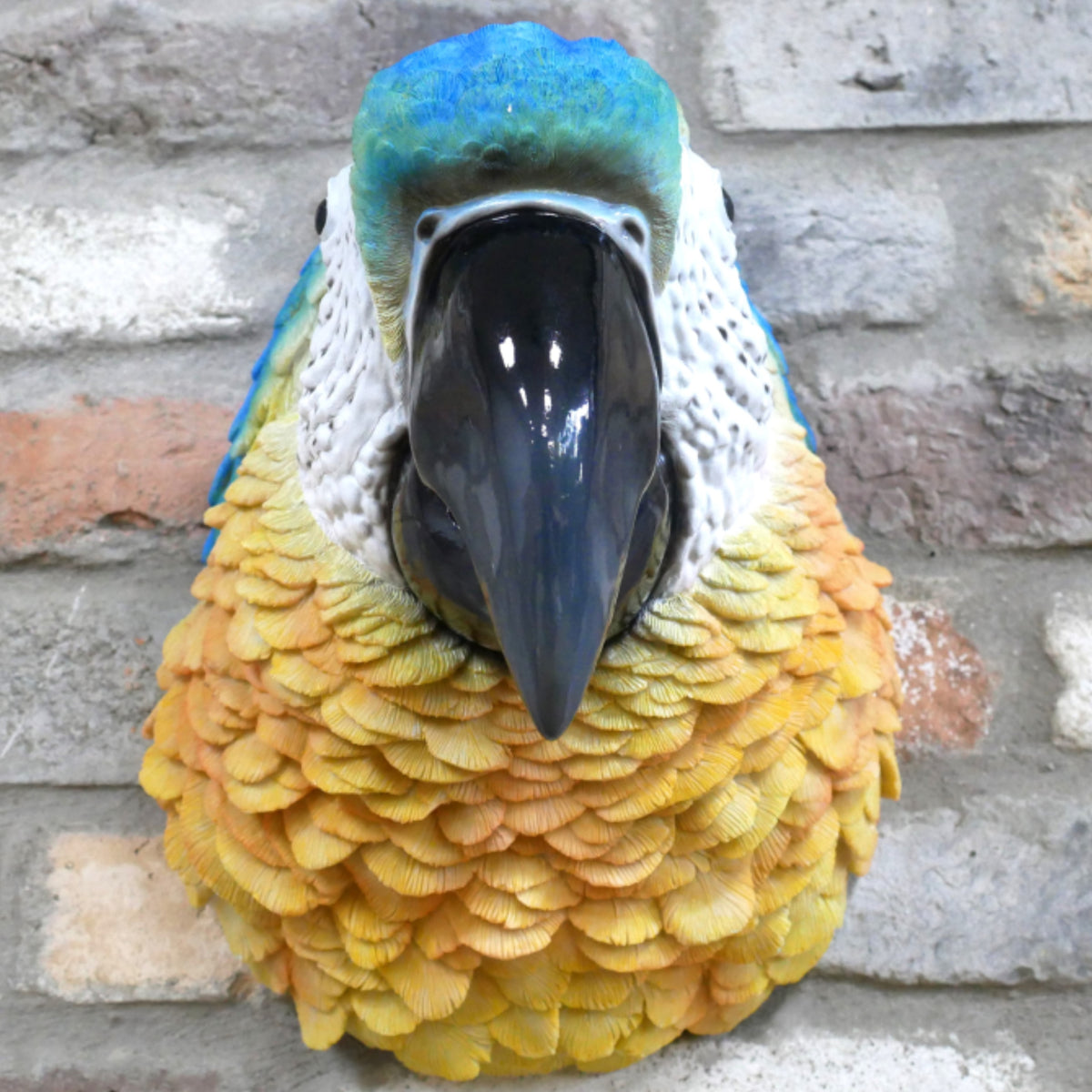 Blue Macaw Parrot Head Wall Decoration