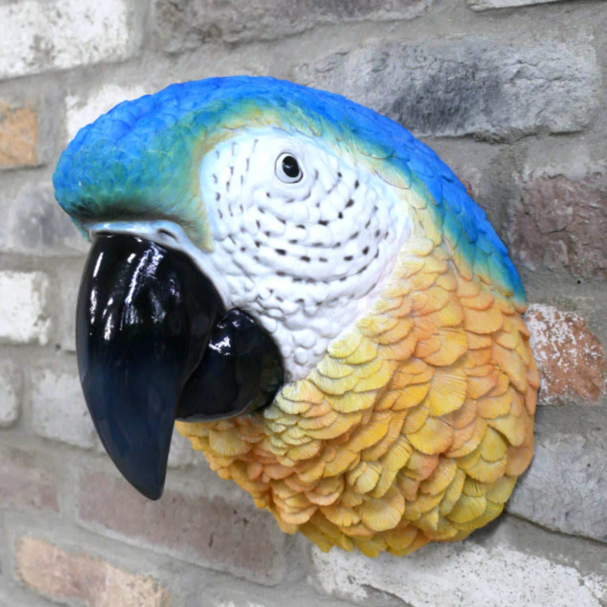 Blue Macaw Parrot Head Wall Decoration