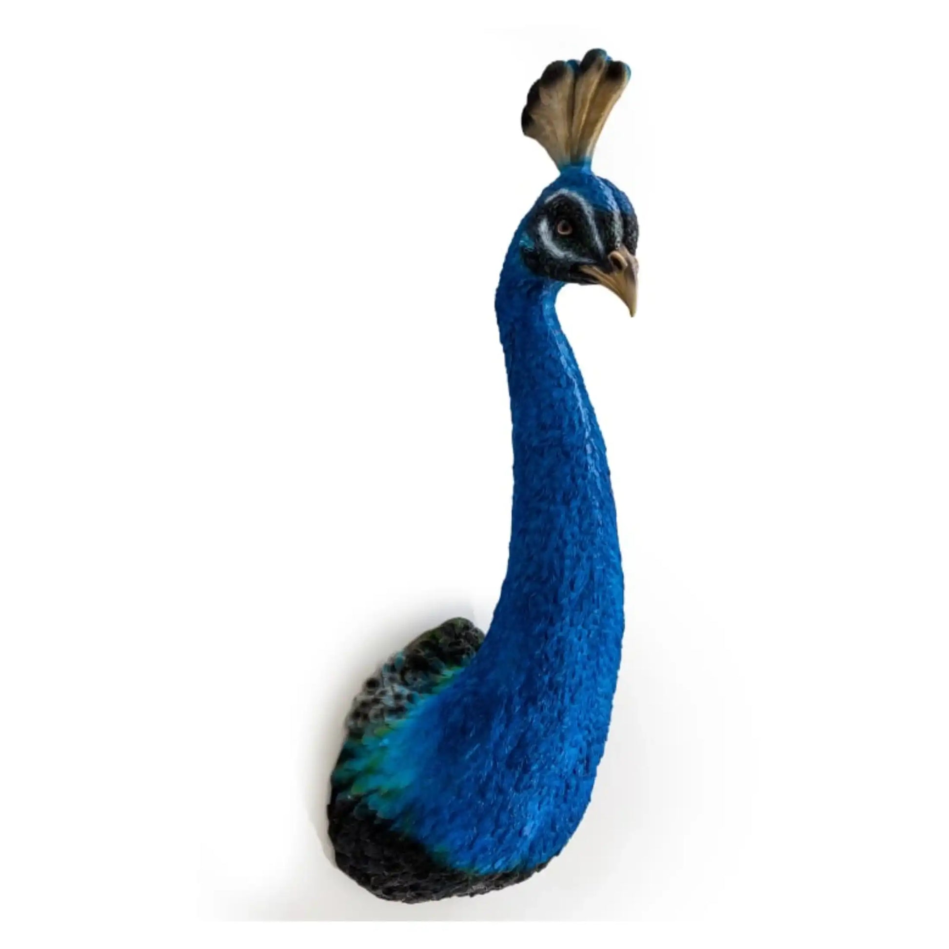 Blue Peacock Head Wall Decoration 88