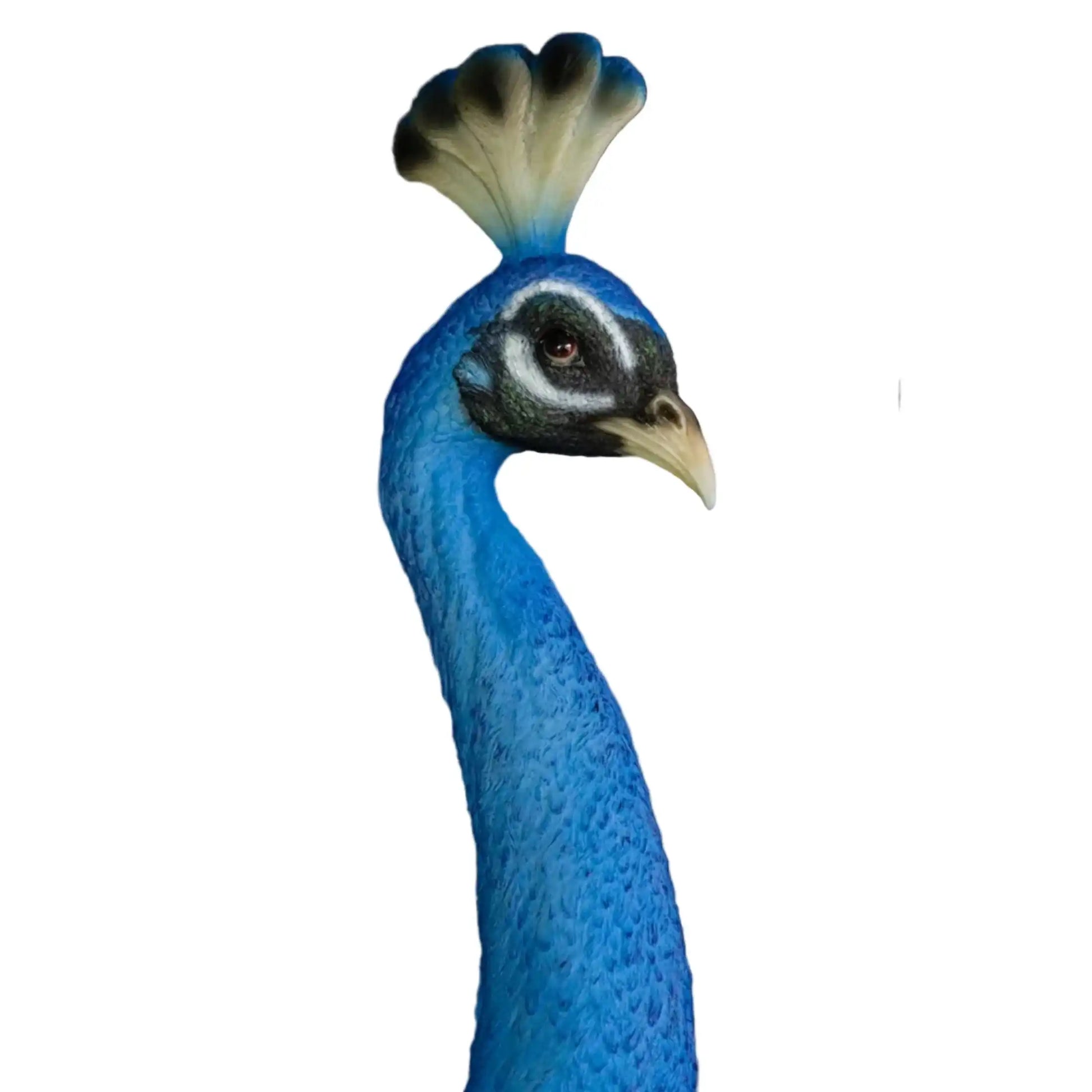 Blue Peacock Head Wall Decoration 5