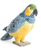 Blue & Yellow Parrot Ceramic Jar 2