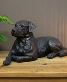 Bronze statue of a lying dog on a wooden surface with a plant in the background